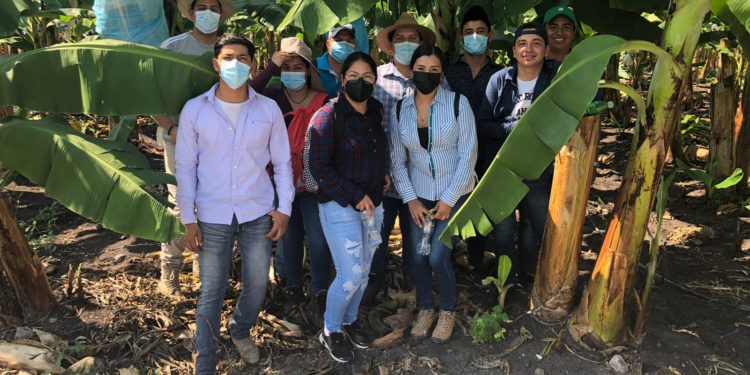 Estudiantes de 3° semestre de Ing. Innovación Agrícola Sustentable visitaron la Productora de Banano Camelia García Guzmán en Antúnez.